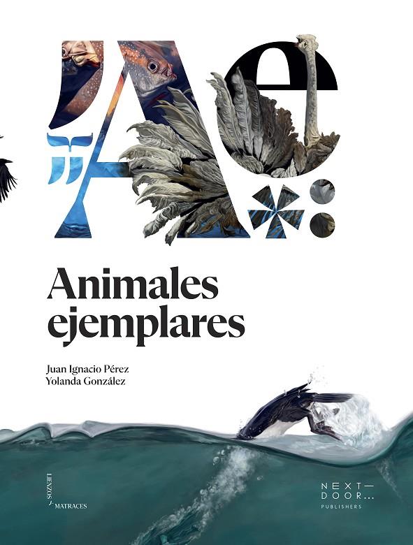Animales ejemplares | 9788412159899 | Pérez Iglesias, Juan Ignacio | Llibres.cat | Llibreria online en català | La Impossible Llibreters Barcelona