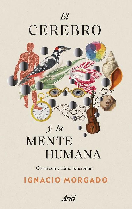 El cerebro y la mente humana | 9788434435988 | Morgado, Ignacio | Llibres.cat | Llibreria online en català | La Impossible Llibreters Barcelona
