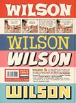 Wilson | 9788478339129 | Clowes, Daniel | Llibres.cat | Llibreria online en català | La Impossible Llibreters Barcelona