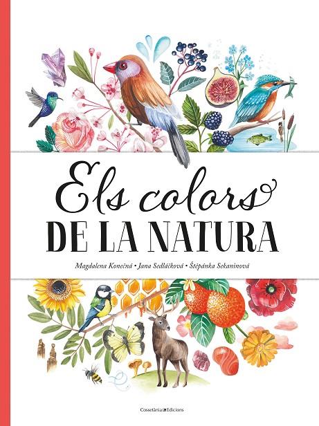 Els colors de la natura | 9788490349243 | Sedlá?ková , Jana/Sekaninová, ?t?pánka | Llibres.cat | Llibreria online en català | La Impossible Llibreters Barcelona