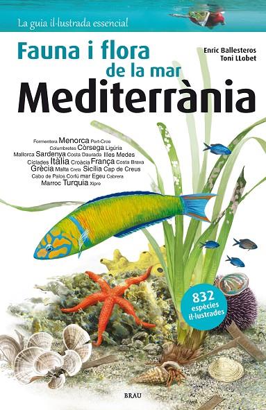 Flora i fauna de la mar Mediterrània | 9788415885252 | Ballesteros Sagarra, Enric | Llibres.cat | Llibreria online en català | La Impossible Llibreters Barcelona