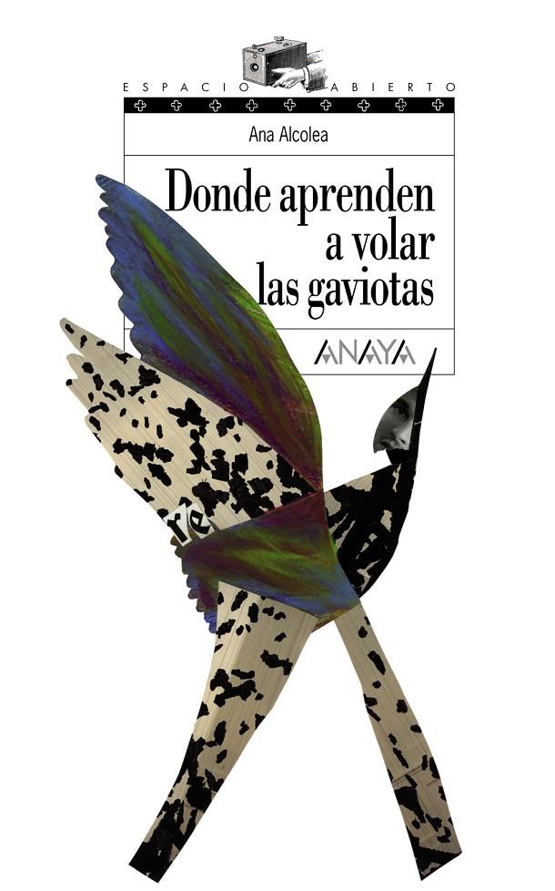 Donde aprenden a volar las gaviotas | 9788466762489 | Alcolea, Ana | Llibres.cat | Llibreria online en català | La Impossible Llibreters Barcelona