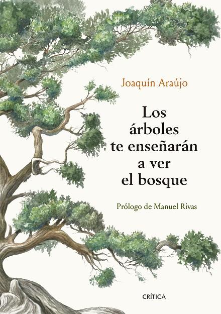 Los árboles te enseñarán a ver el bosque | 9788491992080 | Araújo, Joaquín | Llibres.cat | Llibreria online en català | La Impossible Llibreters Barcelona