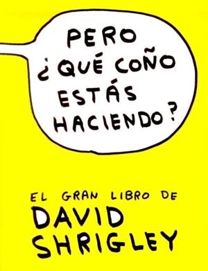 Pero que coño estas haciendo? | 9788493874520 | Shrigley, David | Llibres.cat | Llibreria online en català | La Impossible Llibreters Barcelona