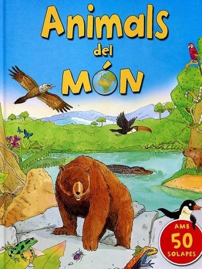 Animals del món | 9788479426705 | Diversos | Llibres.cat | Llibreria online en català | La Impossible Llibreters Barcelona