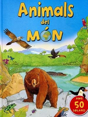 Animals del món | 9788479426705 | Diversos | Llibres.cat | Llibreria online en català | La Impossible Llibreters Barcelona