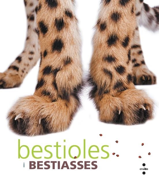 C-BESTIOLES I BESTIASSES | 9788466127271 | Diversos Autors | Llibres.cat | Llibreria online en català | La Impossible Llibreters Barcelona