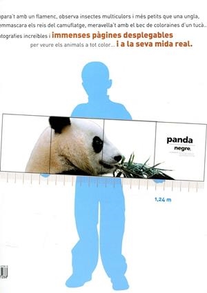 C-BLANCS,NEGRES,VIROLATS | 9788466127288 | Diversos Autors | Llibres.cat | Llibreria online en català | La Impossible Llibreters Barcelona