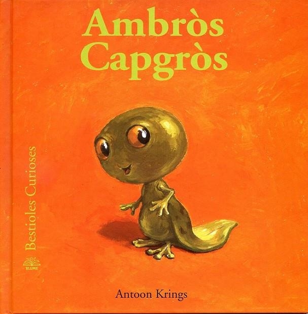 Ambròs capgròs | 9788498014129 | Krings, Antoon | Llibres.cat | Llibreria online en català | La Impossible Llibreters Barcelona