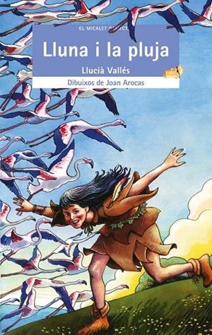 LLUNA I LA PLUJA, LA -MICALET GALACTIC- | 9788476609644 | VALLES, LLUCIA | Llibres.cat | Llibreria online en català | La Impossible Llibreters Barcelona