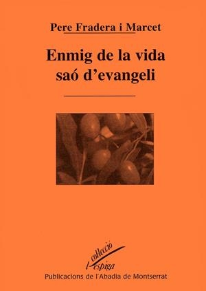 ENMIG DE LA VIDA SAO D'EVANGELI | 9788484154358 | FRADERA MARCET, PERE | Llibres.cat | Llibreria online en català | La Impossible Llibreters Barcelona