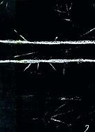 El Bulli 1994-1997 (segon volum) | 9788496201057 | Adrià, Ferran ; Adrià, Albert ; Soler i Santaló, Juli | Llibres.cat | Llibreria online en català | La Impossible Llibreters Barcelona