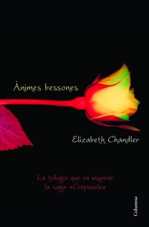 Ànimes bessones | 9788466415101 | Chandler, Elizabeth | Llibres.cat | Llibreria online en català | La Impossible Llibreters Barcelona