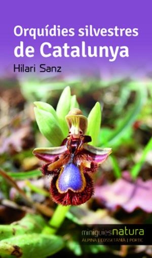 Orquídies silvestres de Catalunya | 9788490342510 | Sanz, Hilari | Llibres.cat | Llibreria online en català | La Impossible Llibreters Barcelona