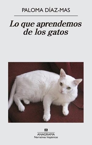Lo que aprendemos de los gatos | 9788433997807 | Díaz Mas, Paloma | Llibres.cat | Llibreria online en català | La Impossible Llibreters Barcelona