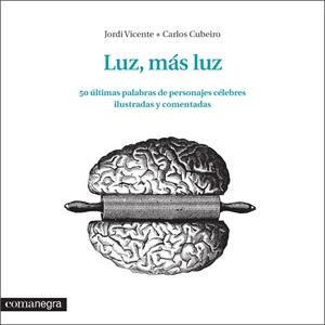 Luz, más luz | 9788416033348 | Vicente Ródenas, Jordi/Díaz Cubeiro, Carlos | Llibres.cat | Llibreria online en català | La Impossible Llibreters Barcelona