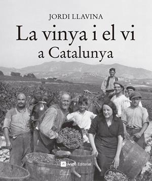 La vinya i el vi a Catalunya | 9788416139187 | Llavina, Jordi | Llibres.cat | Llibreria online en català | La Impossible Llibreters Barcelona