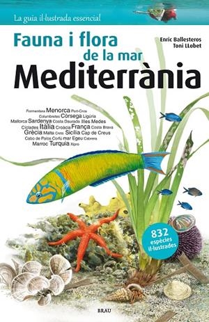 Flora i fauna de la mar Mediterrània | 9788415885252 | Ballesteros Sagarra, Enric | Llibres.cat | Llibreria online en català | La Impossible Llibreters Barcelona