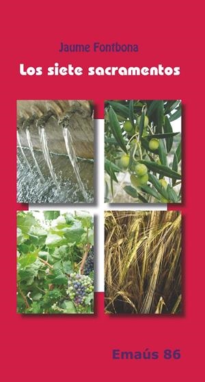 Dietari d'un missioner de la Misericòrdia | 9788498057638 | Dalmau Ribalta, Bernabé | Llibres.cat | Llibreria online en català | La Impossible Llibreters Barcelona