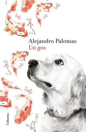 Un gos | 9788466420426 | Alejandro Palomas | Llibres.cat | Llibreria online en català | La Impossible Llibreters Barcelona