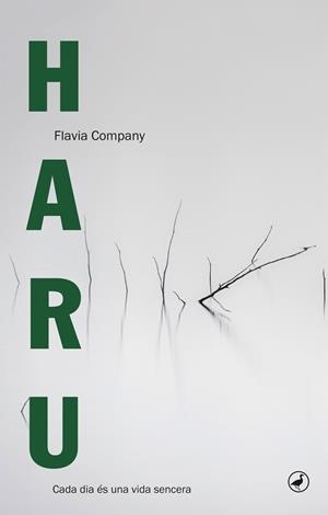 Haru | 9788416673094 | Company i Navau, Flavia | Llibres.cat | Llibreria online en català | La Impossible Llibreters Barcelona