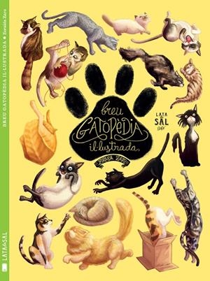 Breu Gatopèdia Il·lustrada | 9788494469886 | Zaro Soto, Zoraida | Llibres.cat | Llibreria online en català | La Impossible Llibreters Barcelona