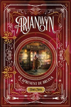 Arianwyn, l'aprenent de bruixa | 9788424658694 | James Nicol | Llibres.cat | Llibreria online en català | La Impossible Llibreters Barcelona
