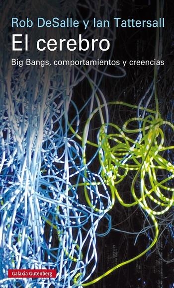 El cerebro | 9788416252268 | DeSalle, Rob/Tattersall, Ian | Llibres.cat | Llibreria online en català | La Impossible Llibreters Barcelona
