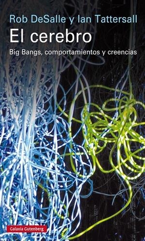 El cerebro | 9788416252268 | DeSalle, Rob/Tattersall, Ian | Llibres.cat | Llibreria online en català | La Impossible Llibreters Barcelona