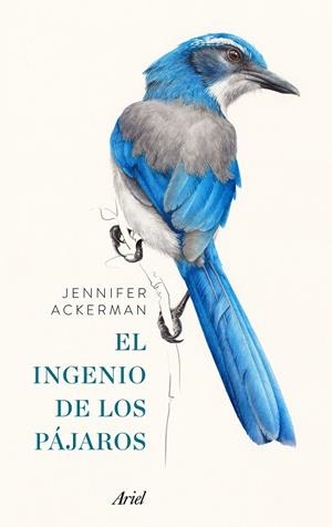 El ingenio de los pájaros | 9788434425262 | Jennifer Ackerman | Llibres.cat | Llibreria online en català | La Impossible Llibreters Barcelona