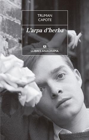 L'arpa d'herba | 9788433915481 | Capote, Truman | Llibres.cat | Llibreria online en català | La Impossible Llibreters Barcelona