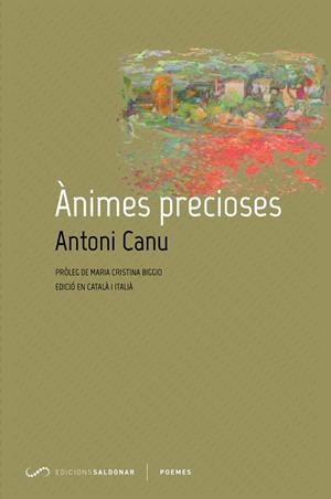 Ànimes precioses | 9788417611149 | Canu, Antoni | Llibres.cat | Llibreria online en català | La Impossible Llibreters Barcelona