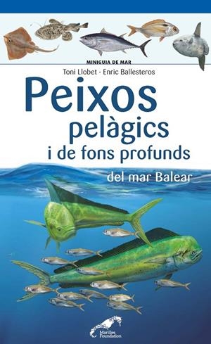 Peixos pelàgics i de fons profunds del mar Balear | 9788490349397 | Llobet François, Toni/Ballesteros Sagarra, Enric | Llibres.cat | Llibreria online en català | La Impossible Llibreters Barcelona