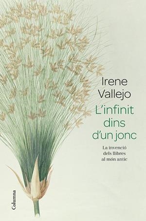 L'infinit dins d'un jonc | 9788466426947 | Vallejo, Irene | Llibres.cat | Llibreria online en català | La Impossible Llibreters Barcelona