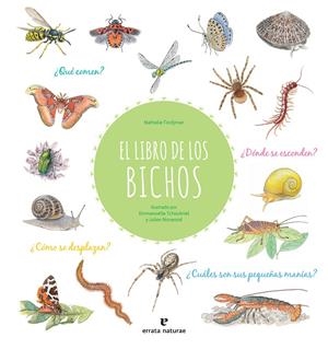 El libro de los bichos | 9788417800413 | Tordjman, Nathalie | Llibres.cat | Llibreria online en català | La Impossible Llibreters Barcelona