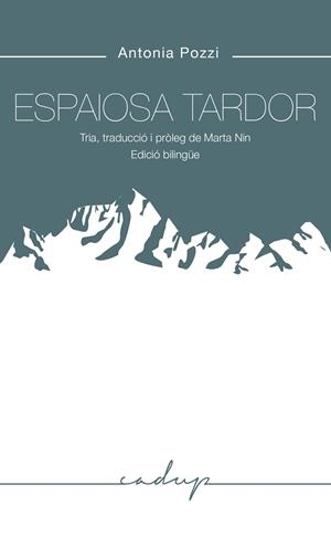 Espaiosa tardor | 9788412307214 | Pozzi, Antonia | Llibres.cat | Llibreria online en català | La Impossible Llibreters Barcelona