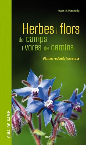 Herbes i flors de camps i vores de camins | 9788418096082 | Panareda Clopés, Josep M | Llibres.cat | Llibreria online en català | La Impossible Llibreters Barcelona