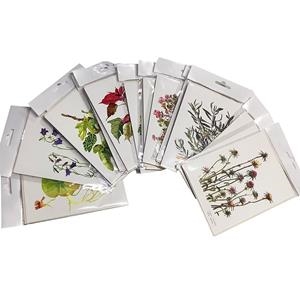 Postal botánica | 9999900002744 | Llibres.cat | Llibreria online en català | La Impossible Llibreters Barcelona