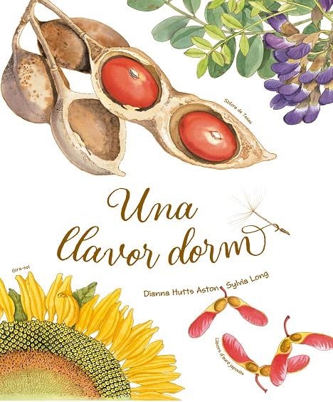 Una llavor dorm | 9788418900235 | Hutts Aston, Dianna | Llibres.cat | Llibreria online en català | La Impossible Llibreters Barcelona