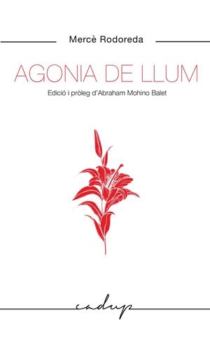 Agonia de llum | 9788412455748 | Rodoreda Gurgui, Mercè | Llibres.cat | Llibreria online en català | La Impossible Llibreters Barcelona