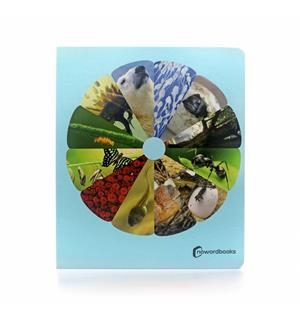 CICLOS DE LA VIDA  GRAN FORMATO | 9788412344530 | Bizitzaren Zikloak | Llibres.cat | Llibreria online en català | La Impossible Llibreters Barcelona