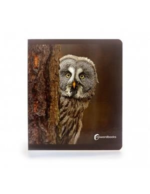 ANIMALES DEL BOSQUE  GRAN FORMATO | 9788412344578 | Llibres.cat | Llibreria online en català | La Impossible Llibreters Barcelona