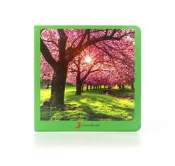 PRIMAVERA | 9788412171006 | Llibres.cat | Llibreria online en català | La Impossible Llibreters Barcelona