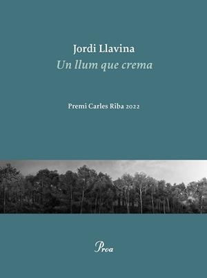 Un llum que crema | 9788475889979 | Llavina, Jordi | Llibres.cat | Llibreria online en català | La Impossible Llibreters Barcelona