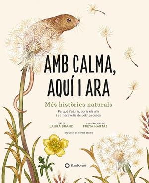 Amb calma, aquí i ara | 9788419401120 | Brand, Laura | Llibres.cat | Llibreria online en català | La Impossible Llibreters Barcelona