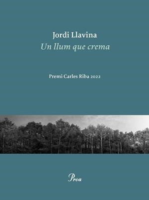 Un llum que crema | 9788419657084 | Llavina, Jordi | Llibres.cat | Llibreria online en català | La Impossible Llibreters Barcelona