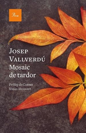 Mosaic de tardor | 9788419657244 | Vallverdú Aixalà, Josep | Llibres.cat | Llibreria online en català | La Impossible Llibreters Barcelona