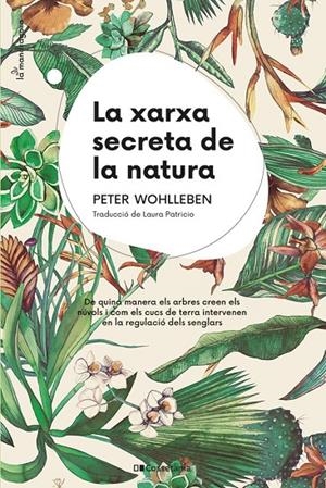 La xarxa secreta de la natura | 9788413562872 | Wohlleben, Peter | Llibres.cat | Llibreria online en català | La Impossible Llibreters Barcelona