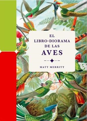 El libro-diorama de las aves | 9788412712209 | Merritt, Matt | Llibres.cat | Llibreria online en català | La Impossible Llibreters Barcelona