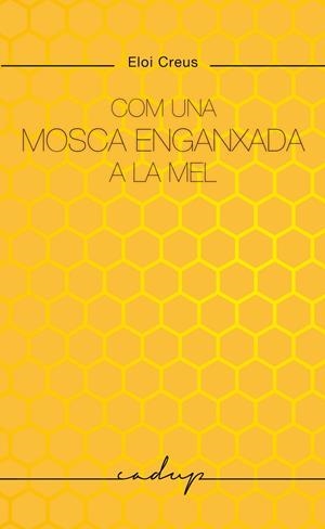 Com una mosca enganxada a la mel | 9788412791129 | Creus Sabater, Eloi | Llibres.cat | Llibreria online en català | La Impossible Llibreters Barcelona